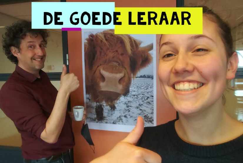 De goede leraar