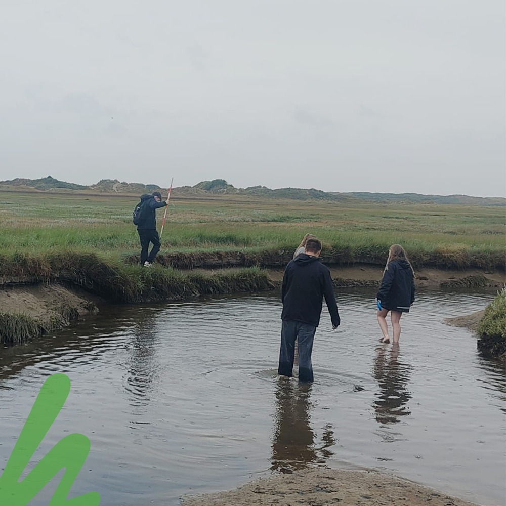 veldwerk 2025 3